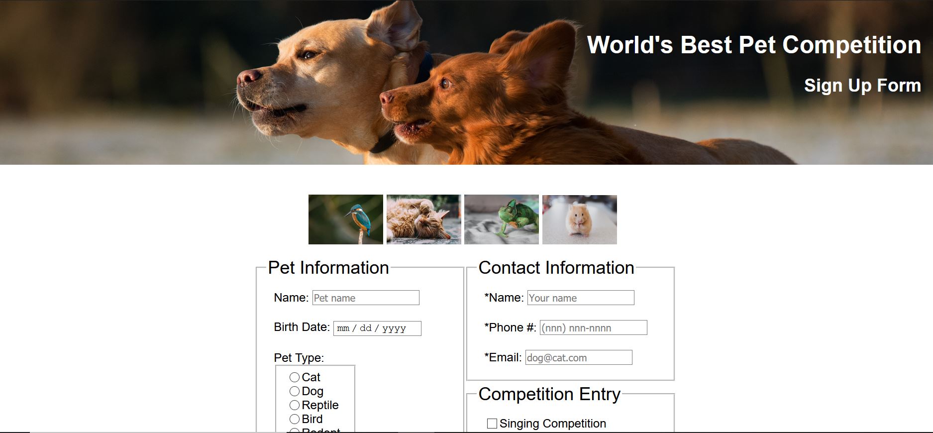 Pet Competition Form Image