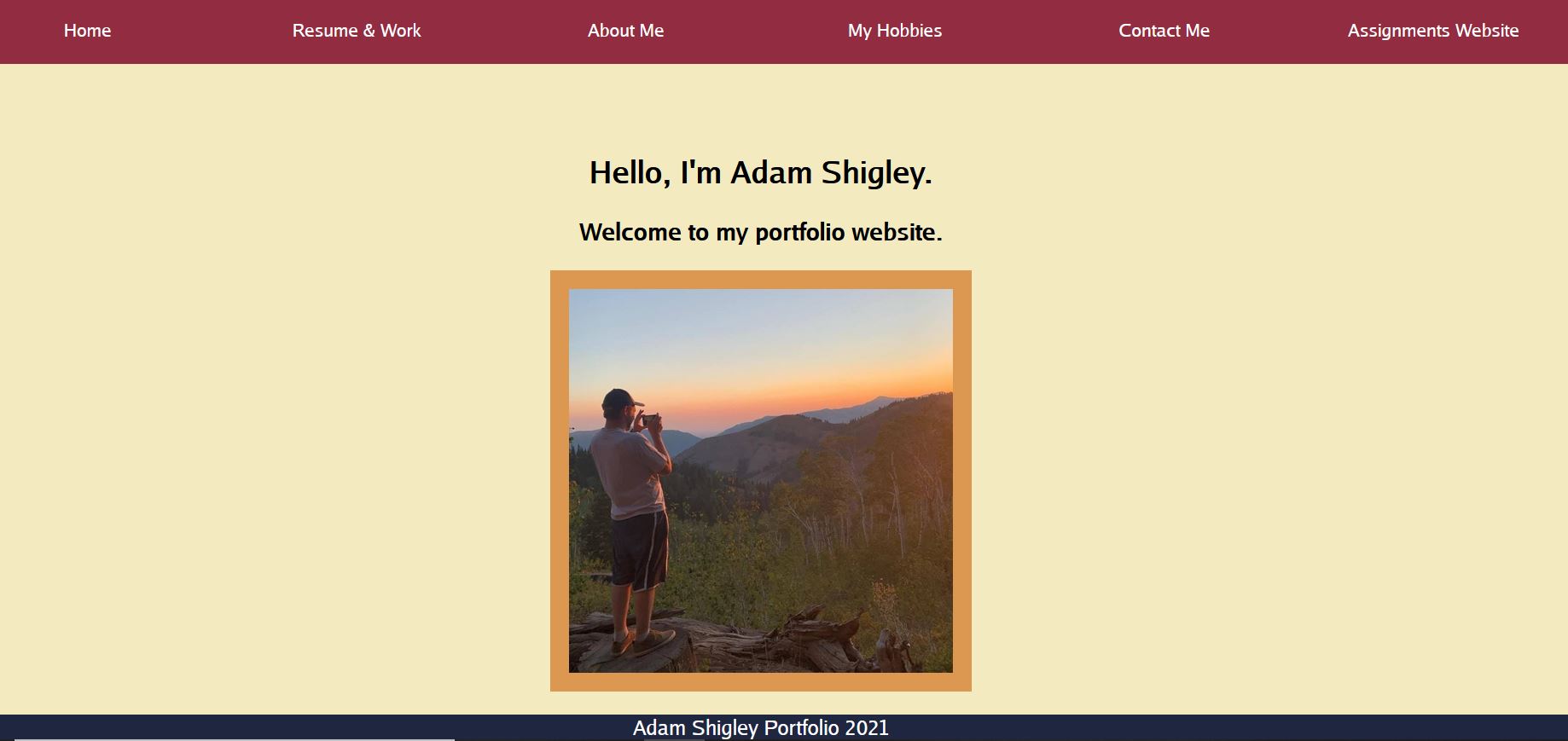 Portfolio Website Image