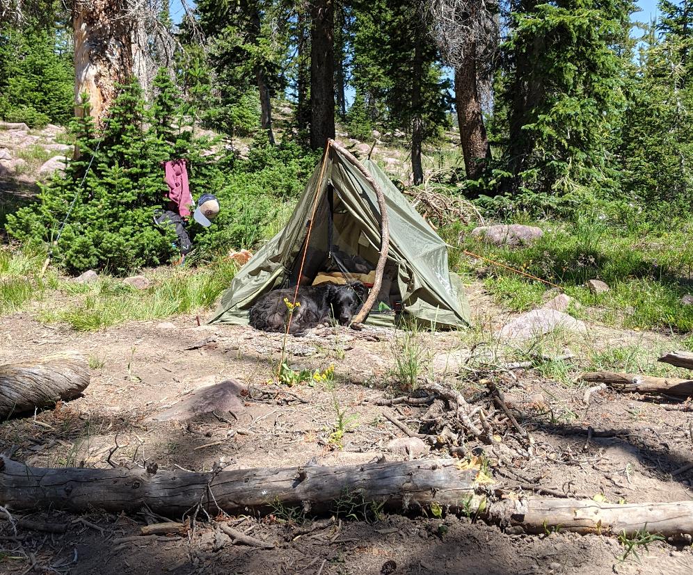 Campsite in the Uintas